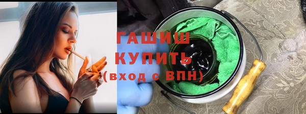 гашик Козловка