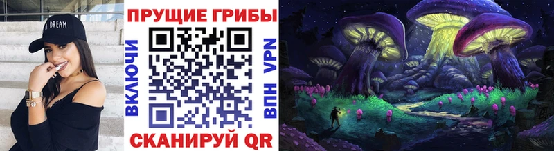 Псилоцибиновые грибы Cubensis  Набережные Челны 