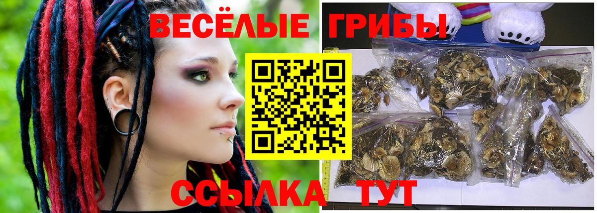 Галлюциногенные грибы MAGIC MUSHROOMS  Вход с VPN  Набережные Челны 