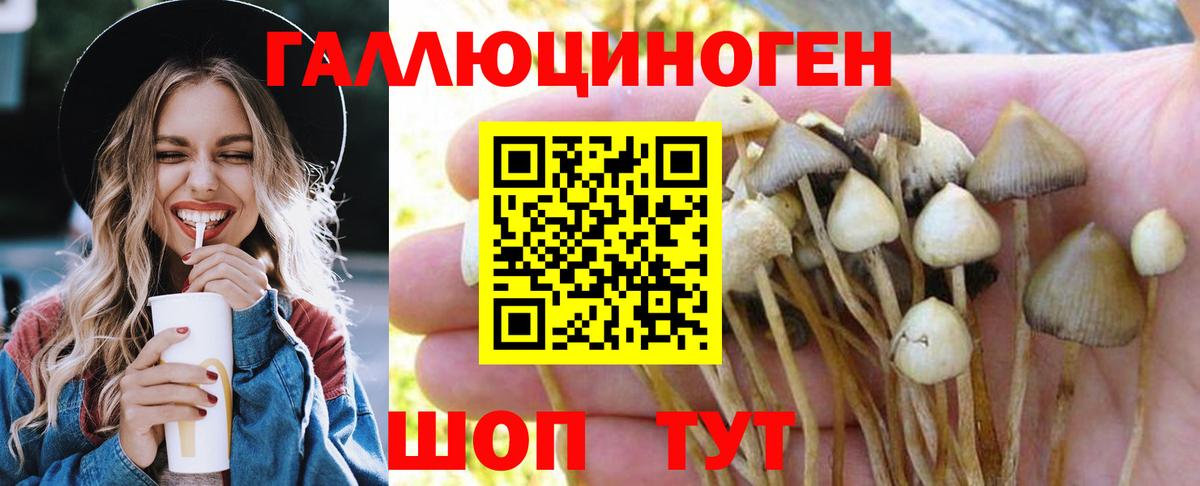 Галлюциногенные грибы Psilocybe Набережные Челны